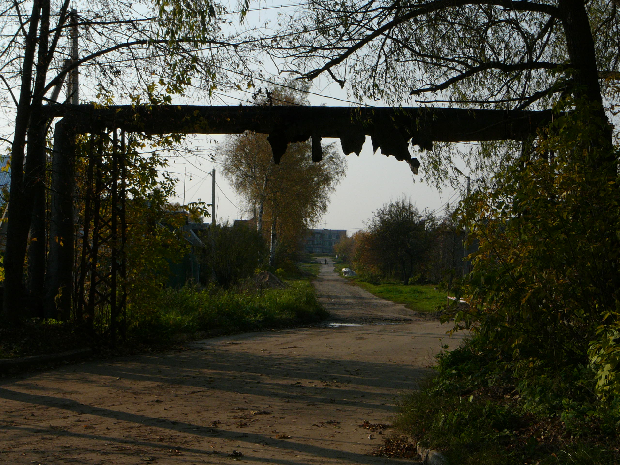 Решетниково клин на сегодня с изменениями