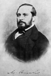 <span class="mw-page-title-main">Michele Amari</span> Italian politician (1806–1889)