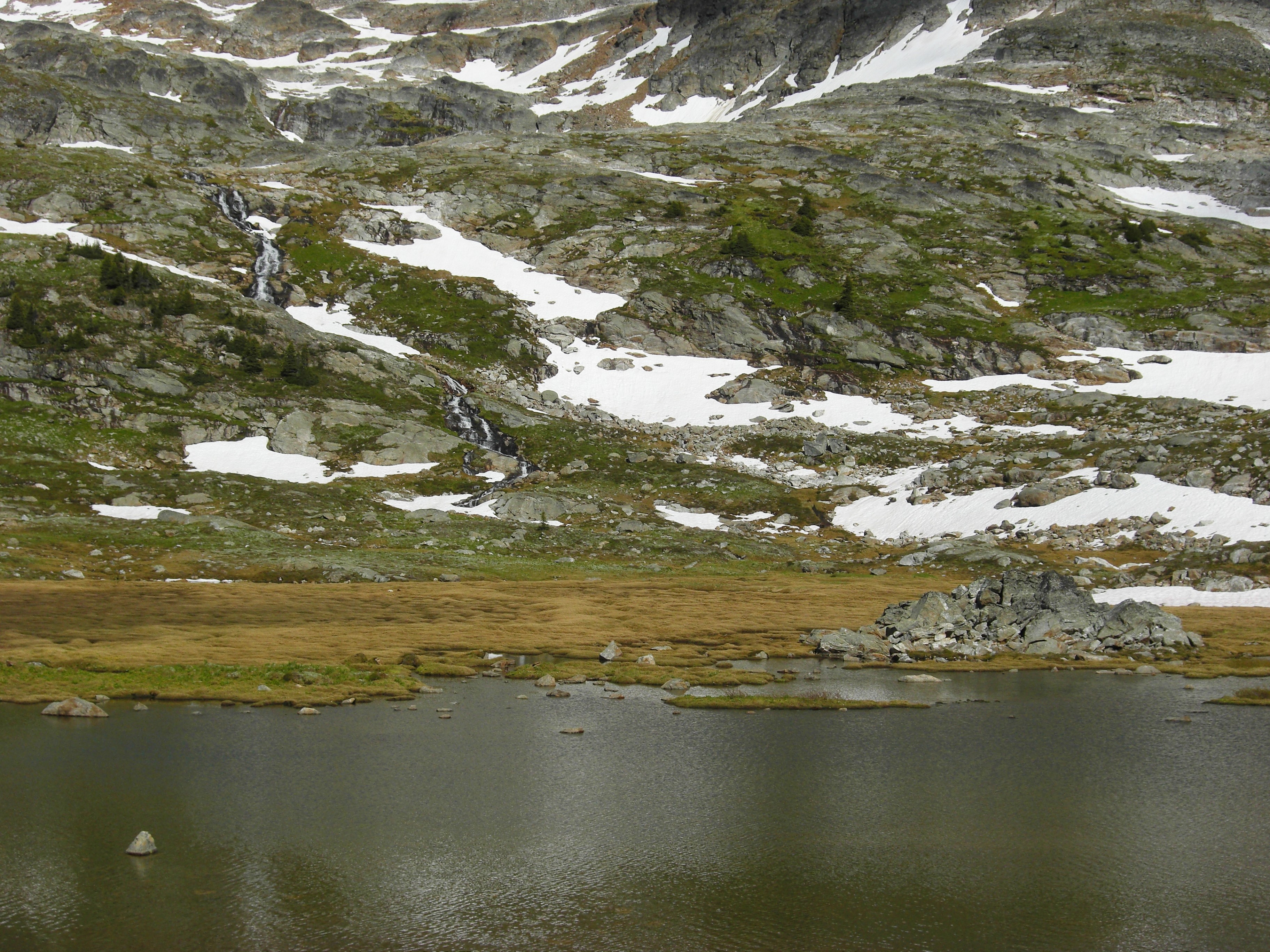 Alpine Meadows