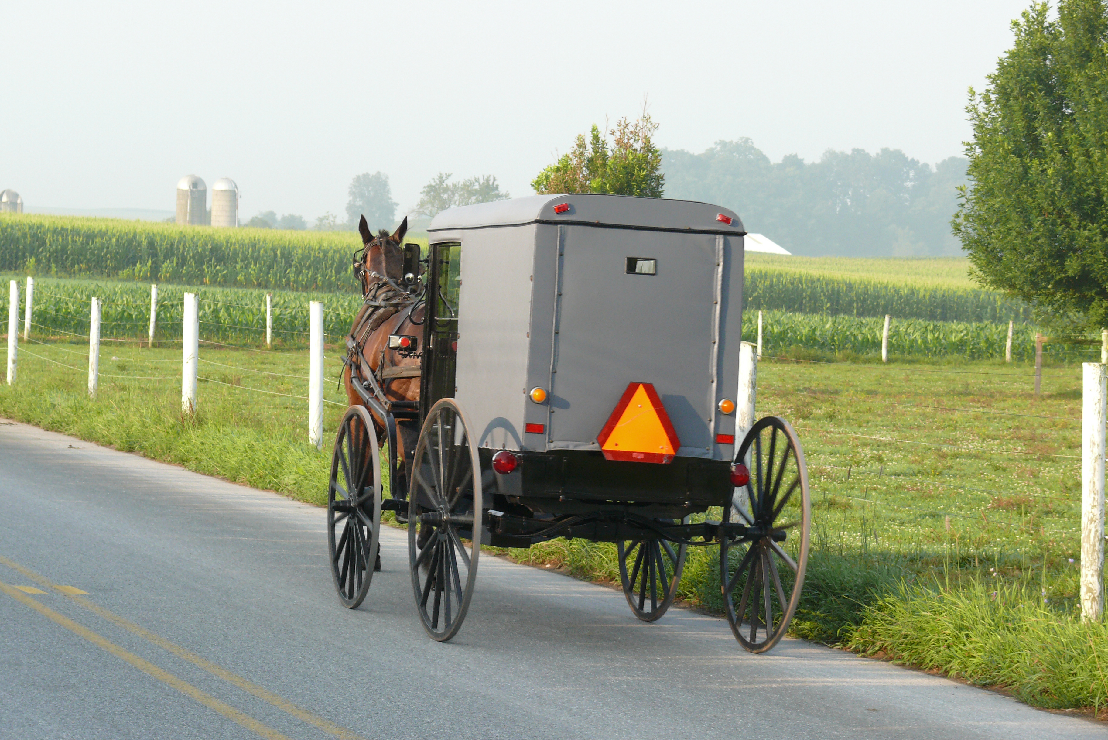 do amish pay taxes in mn