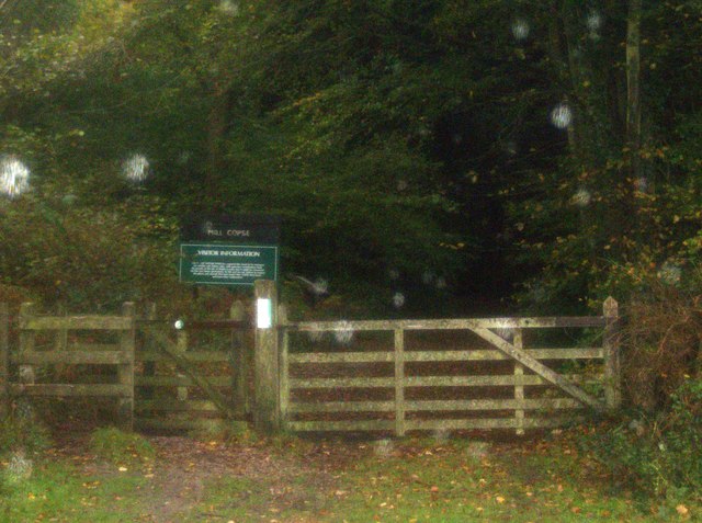 File:Approaching Mill Copse - geograph.org.uk - 601018.jpg