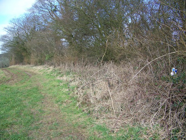 File:Bridleway junction near Whatcombe Woods - geograph.org.uk - 711096.jpg