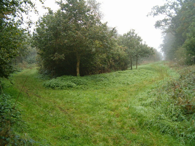 File:Divergent Paths - geograph.org.uk - 259742.jpg