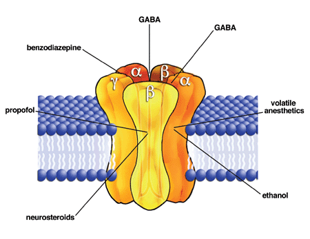 Archivo:GABAa receptor.gif - Wikipedia, la enciclopedia libre