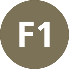 File:Istanbul F1 Line Symbol.png