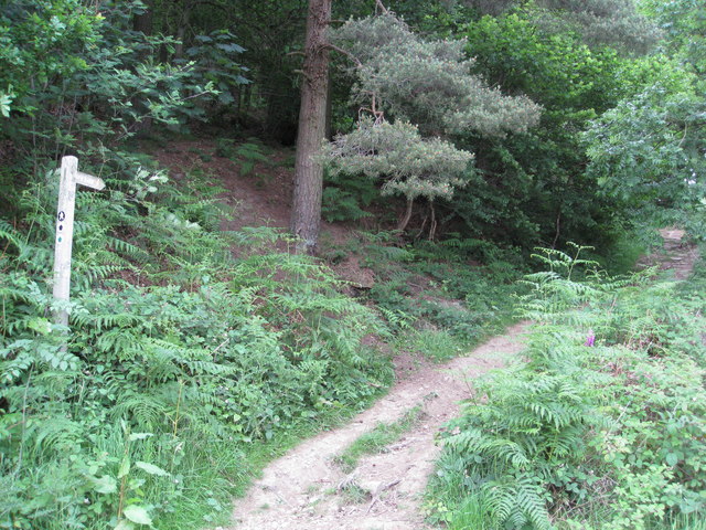 Ladybower Reservoir - Footpath to New Barn - geograph.org.uk - 860086