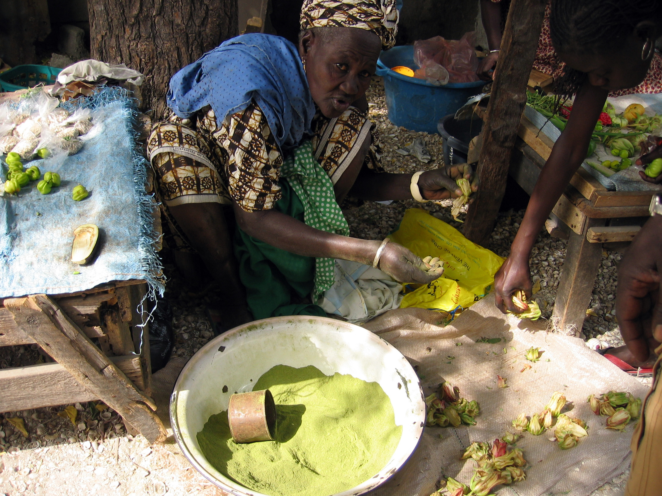 File:Baobab - Lalo.jpg - Wikimedia Commons