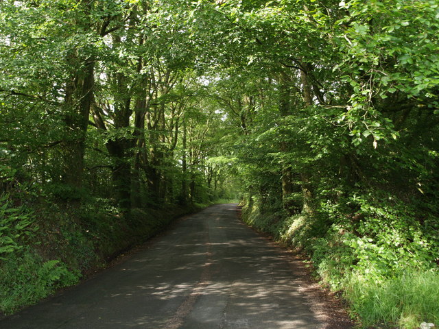 File:Lane near Langworthy - geograph.org.uk - 471355.jpg