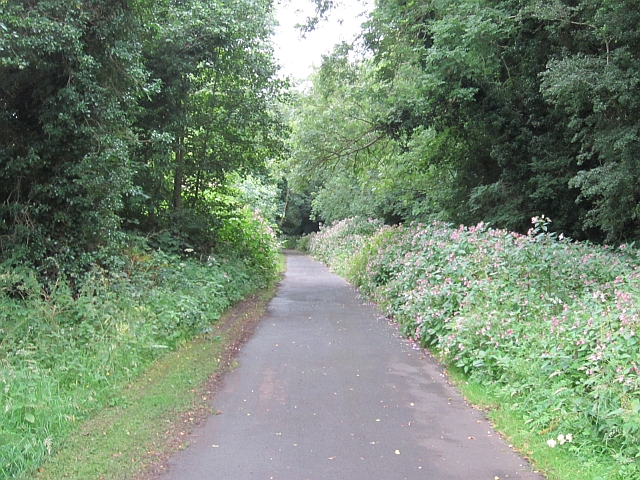 Londonderry and Enniskillen Railway - geograph.org.uk - 3255148