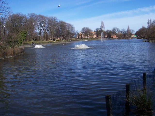 File:Lower Lake, Albert Park, Middlesbrough - geograph.org.uk - 139238.jpg