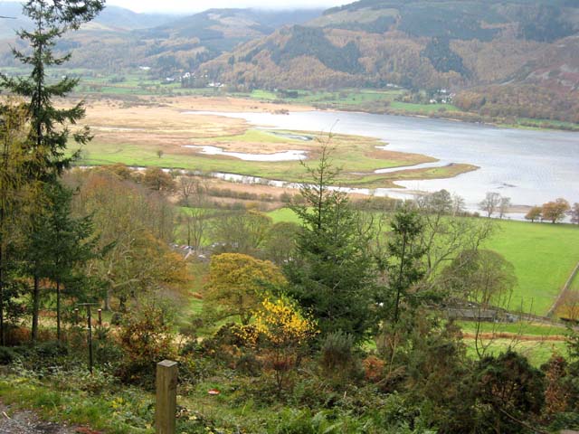 File:Osprey Viewpoint, Dodd Wood - geograph.org.uk - 608324.jpg