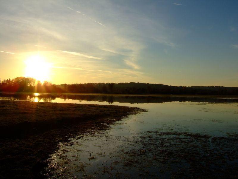 File:Port Meadow sunset.jpg