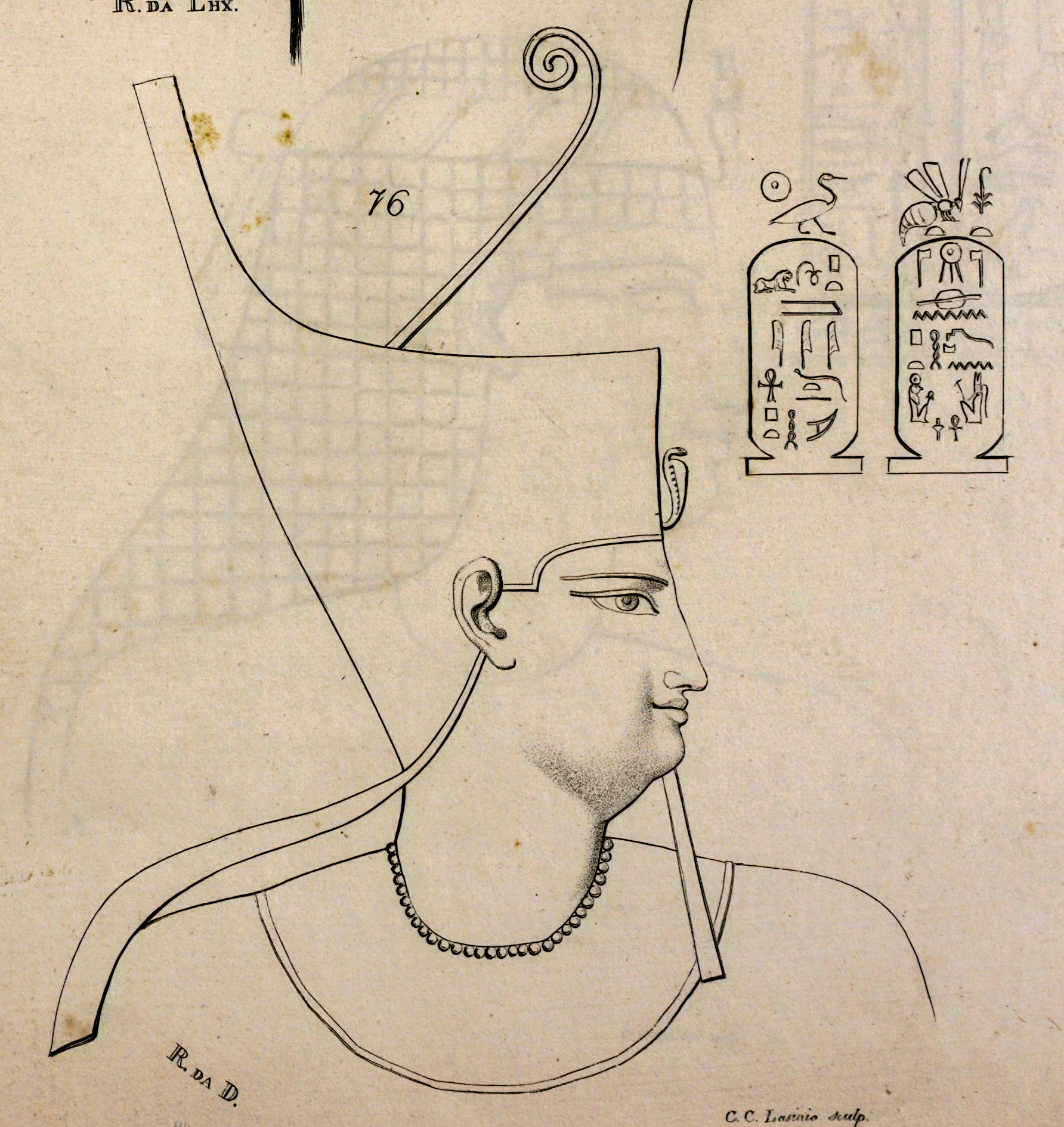 File:Ptolemy VIII Euergetes II.jpg - Wikimedia Commons