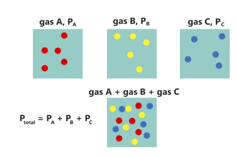 Studying Argon Gas Trapped in Two-Dimensional Array of Tiny Cages