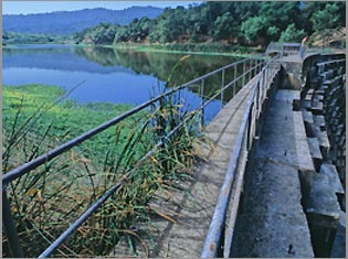 <span class="mw-page-title-main">Searsville Dam</span> Dam in San Mateo County, California, US