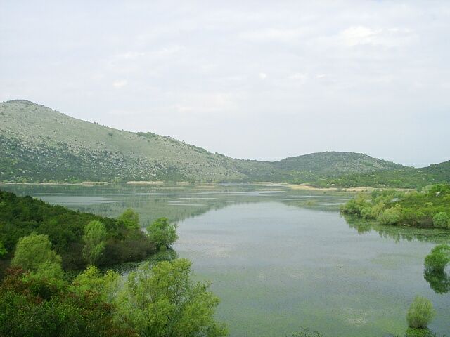 File:Severni pobrezi Skadarskeho jezera, Albanie.jpg