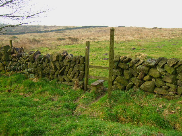 File:Stile and Stonewall - geograph.org.uk - 381719.jpg