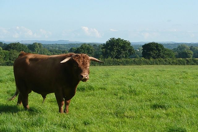 File:Tenant of Common Farm - geograph.org.uk - 888841.jpg