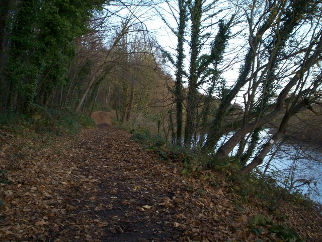 File:The Trans Pennine Trail and River Don - geograph.org.uk - 1056940.jpg