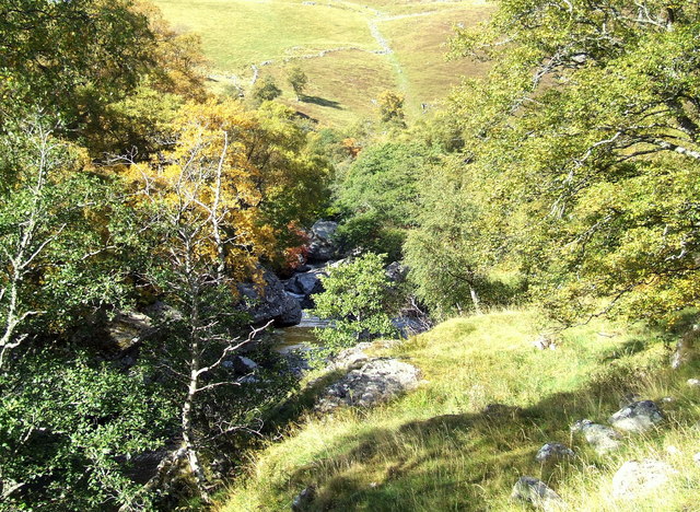 File:Woods around the Tilt - geograph.org.uk - 580473.jpg