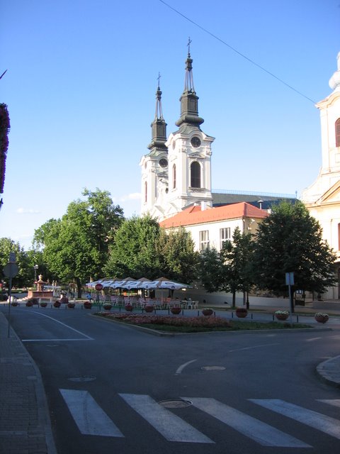 Сремски карловци карта