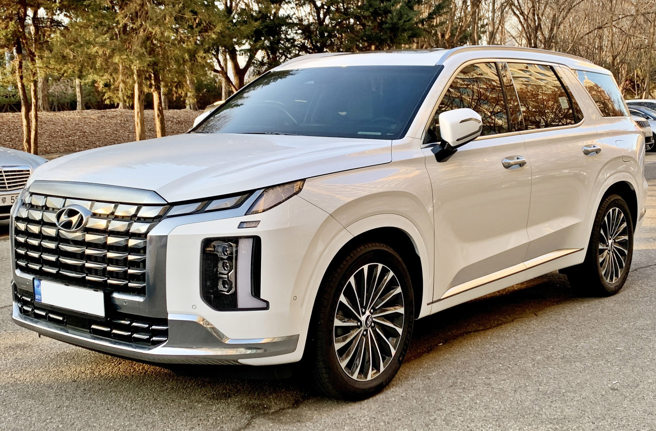 0_Hyundai_Palisade_fl_0.jpg