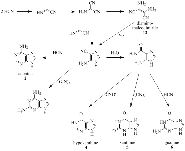 IJMS | Free Full-Text | Chemical Insights into Oxidative and Nitrative  Modifications of DNA