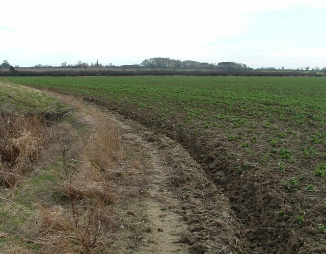 File:Below the Escarpment - geograph.org.uk - 360095.jpg