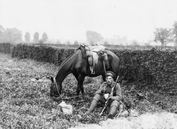 File:British cavalryman 1914.jpg