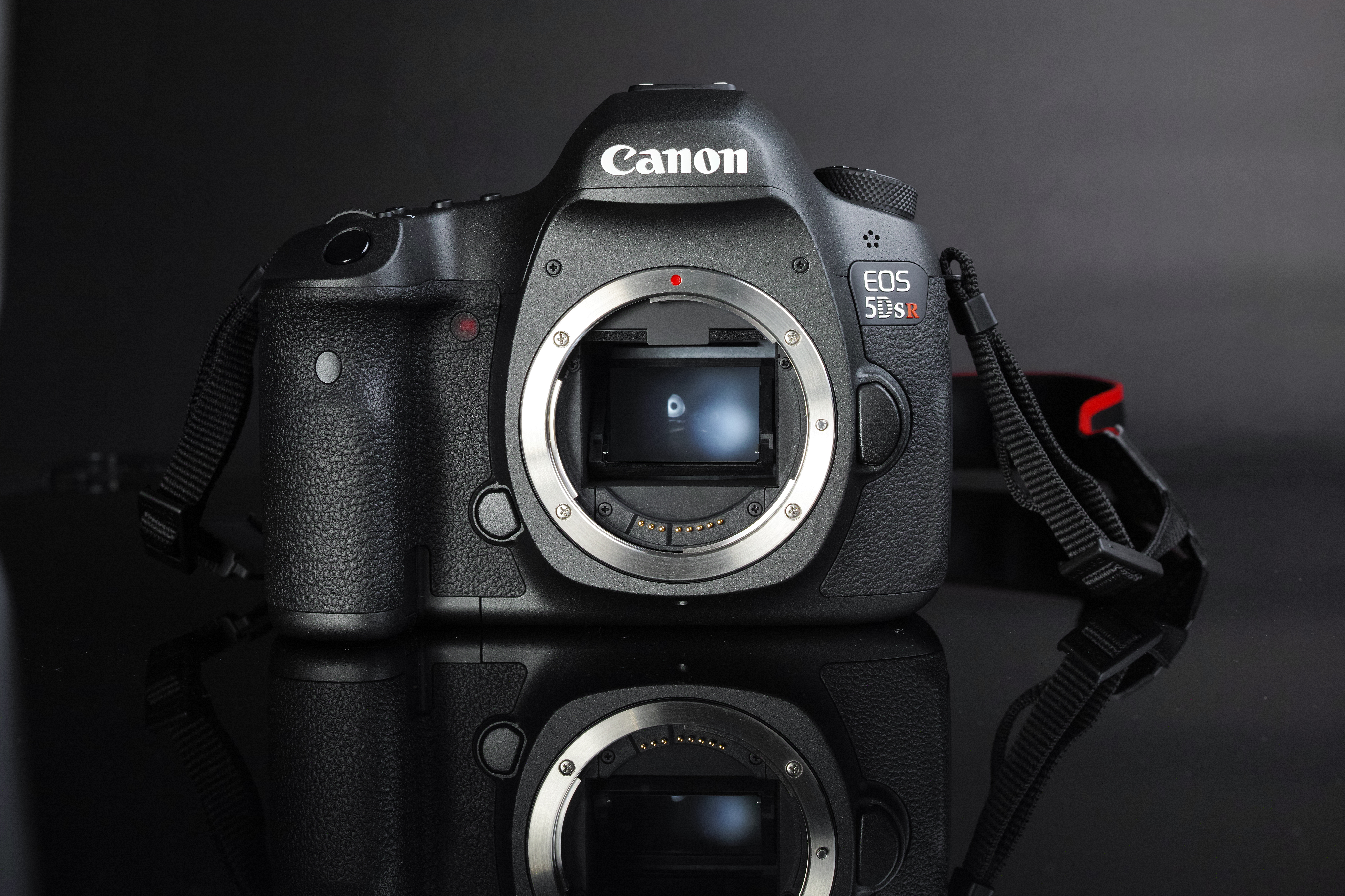 canon 5dr