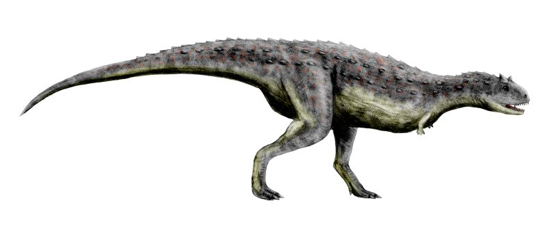 File:Carnotaurus BW.jpg