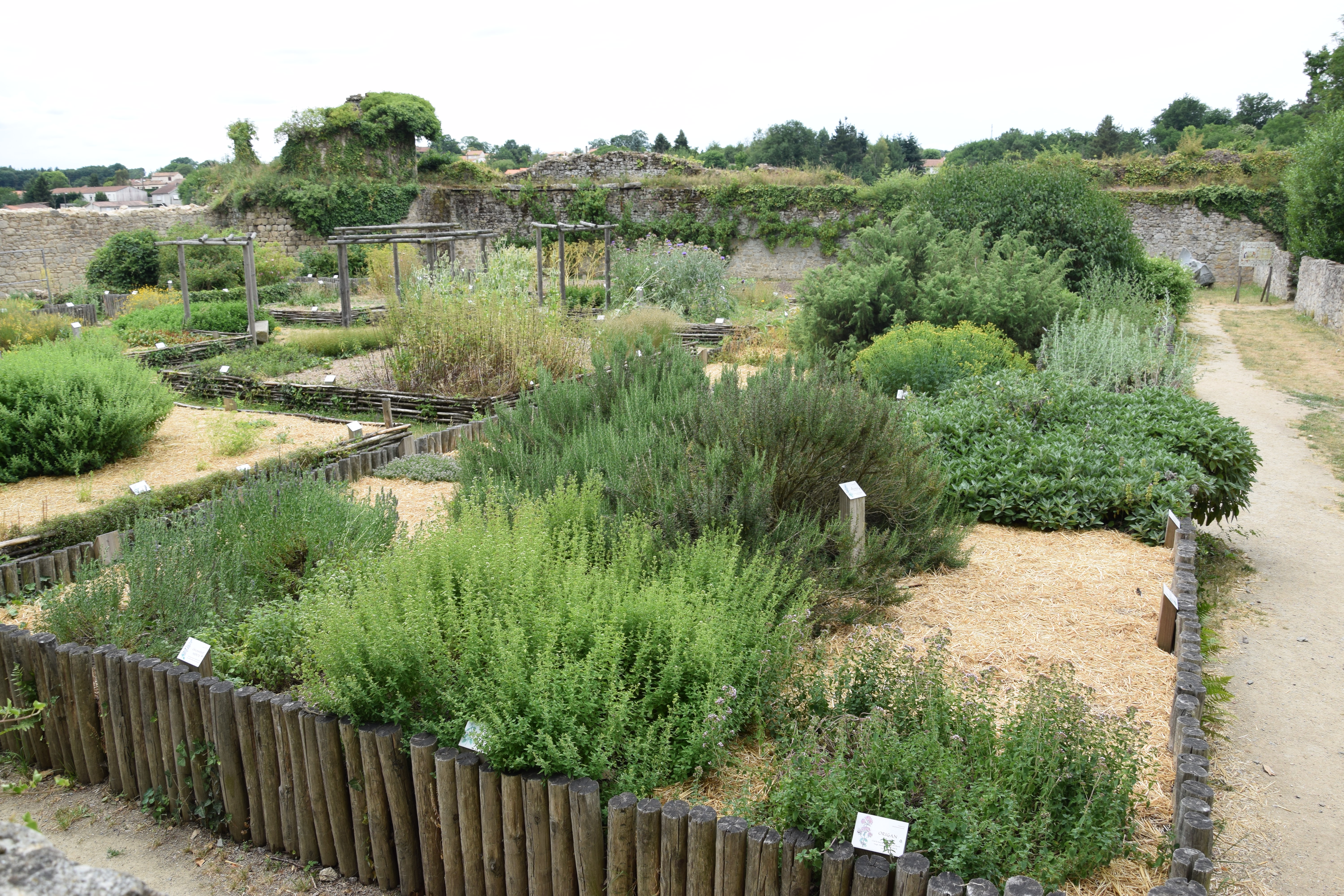 Jardin médiéval — Wikipédia
