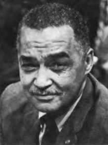 <span class="mw-page-title-main">Coleman Young</span> American politician