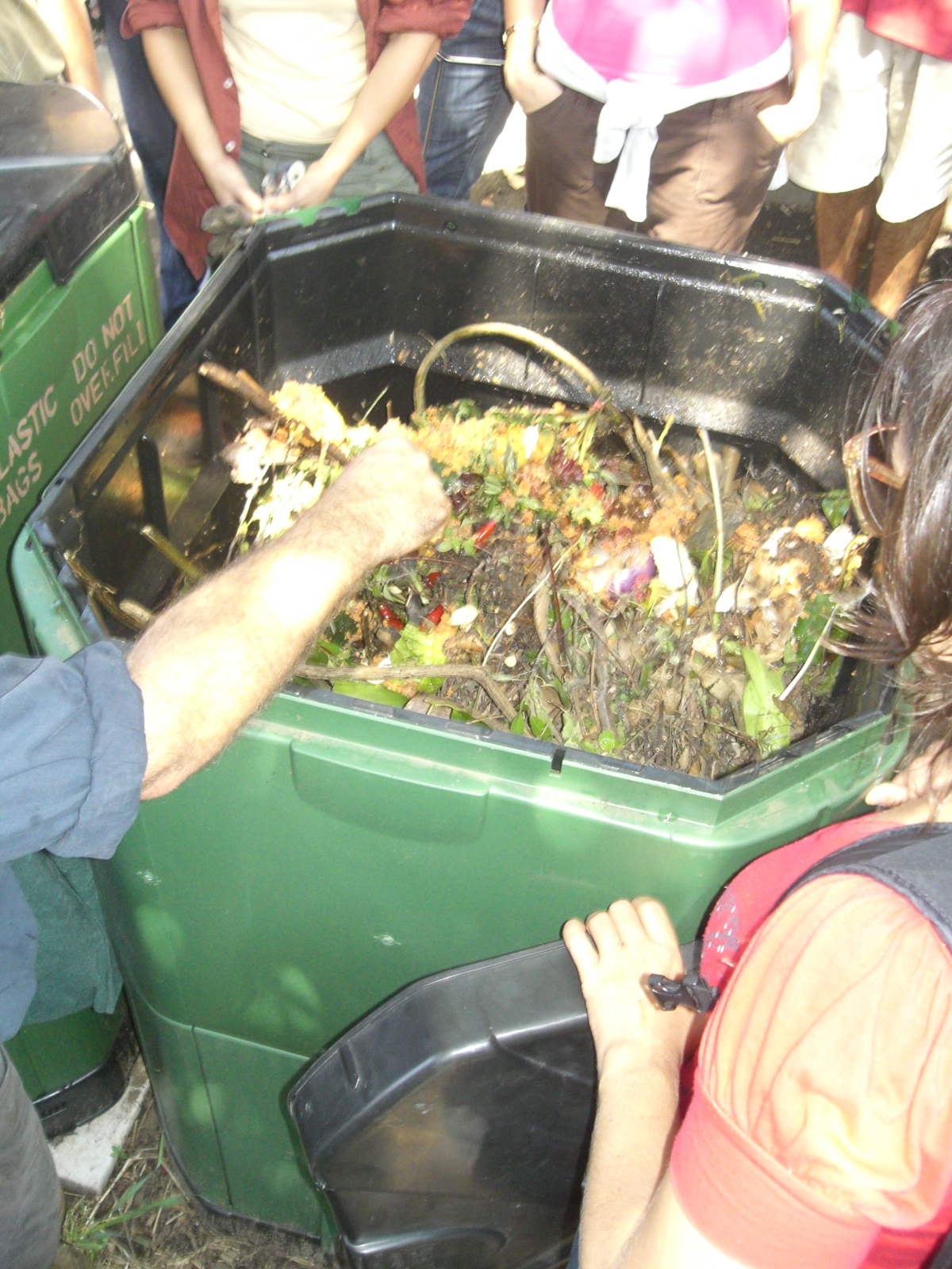Compost - Wikipedia
