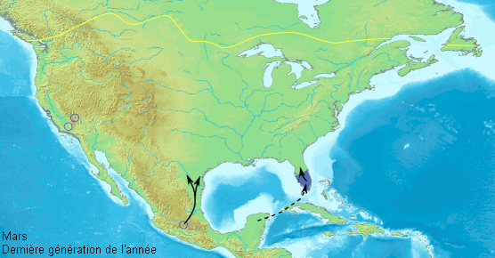 File:Danaus plexippus migration map in North America-fr.gif