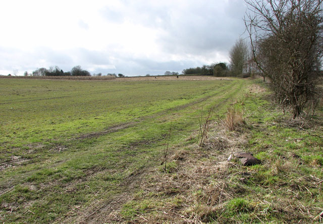 File:Farmtrack skirting field south of Sisland - geograph.org.uk - 1727781.jpg