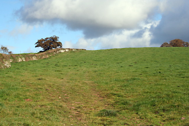 File:Field near Berry Pomeroy - geograph.org.uk - 1012835.jpg