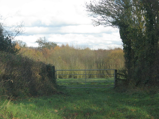 File:Gateway by the roadside near Whimple - geograph.org.uk - 2164597.jpg