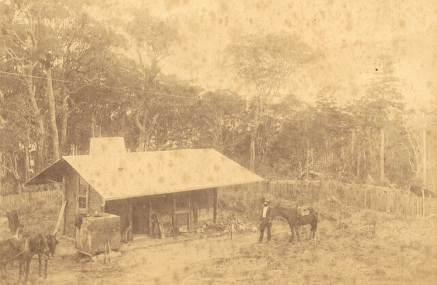 File:Hermann Rieck's homestead, 1890.jpg