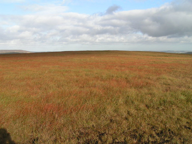 File:Horsehill Tor - geograph.org.uk - 60683.jpg