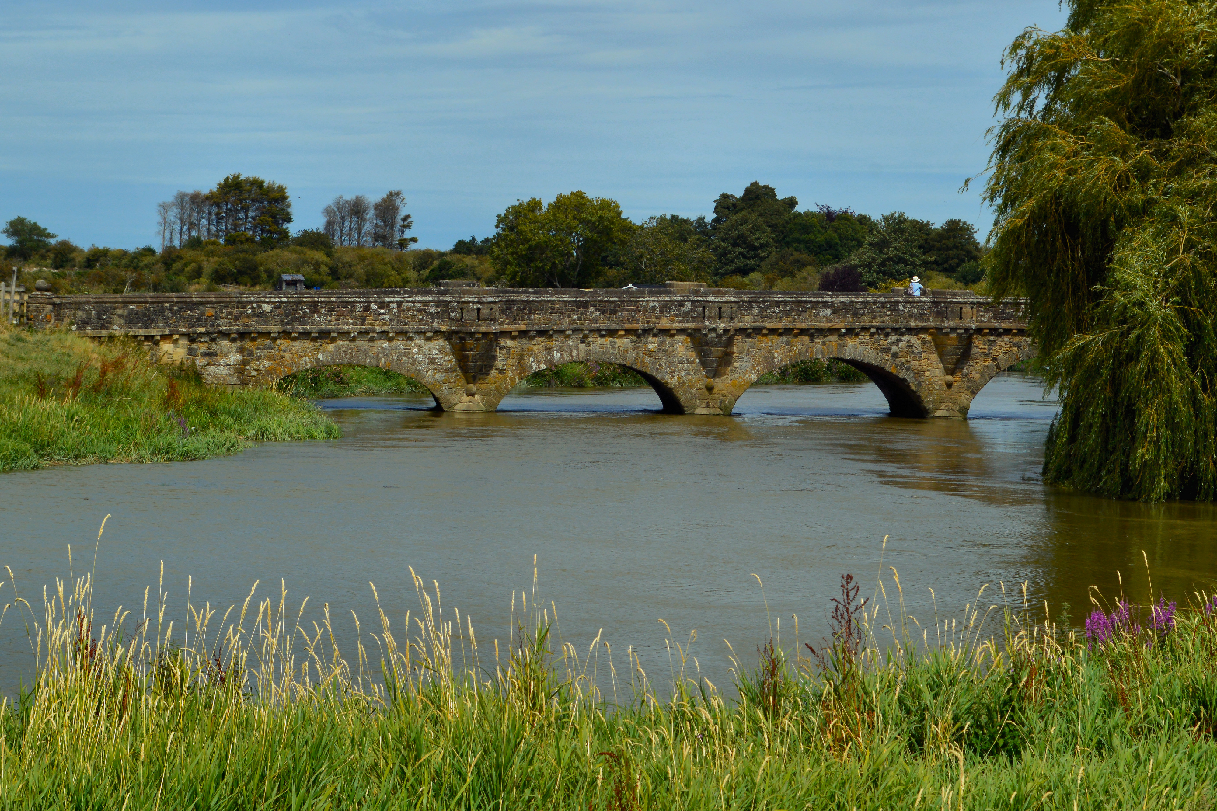 Bridge over the river