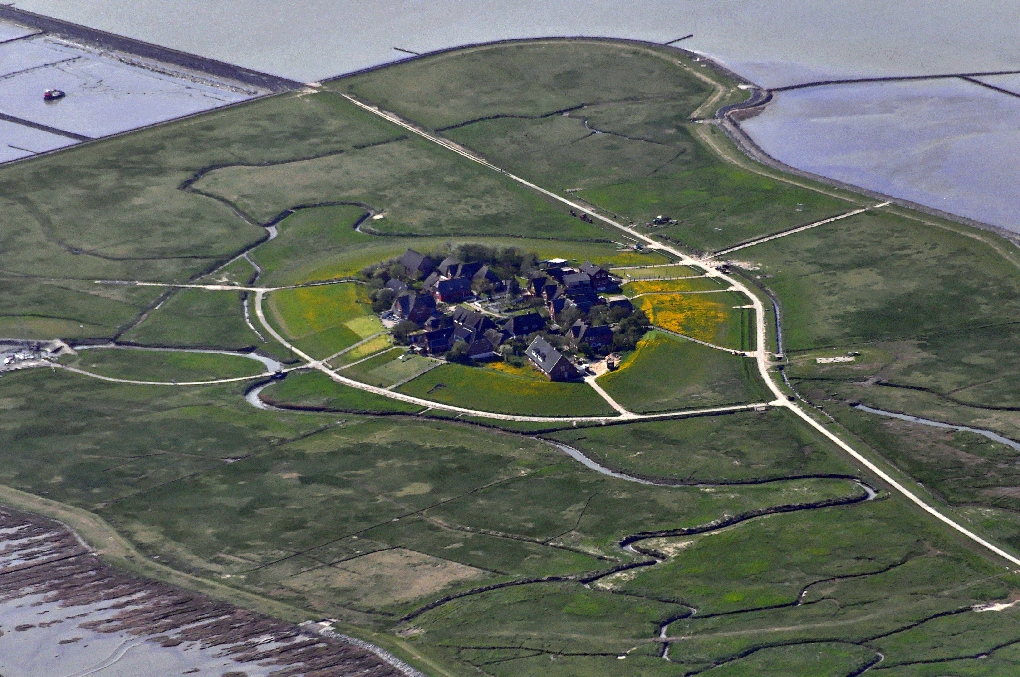 Oland Frisian Island Wikipedia