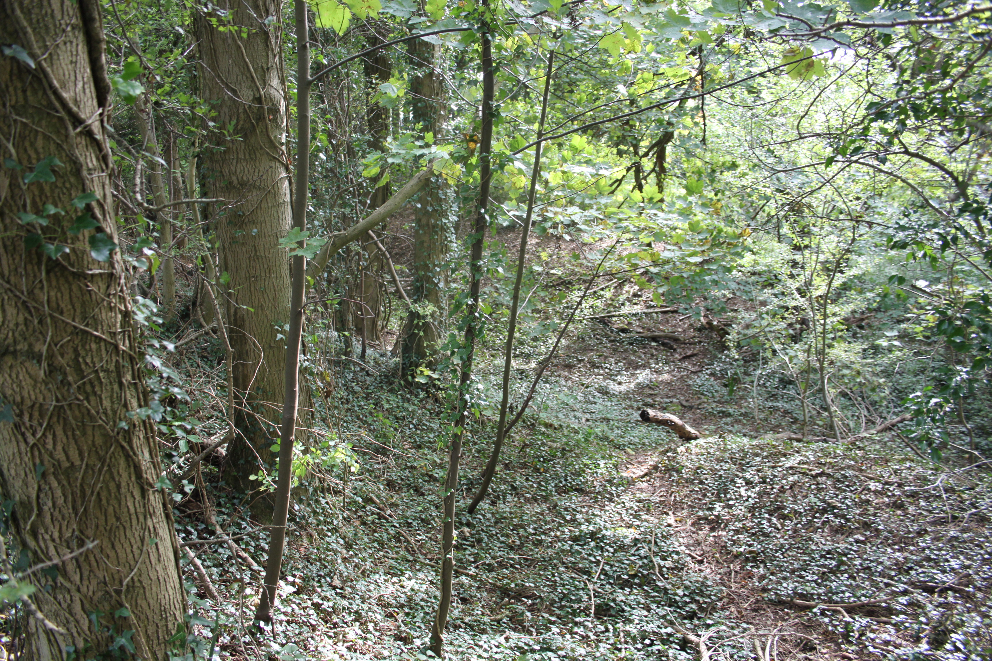 North Road Quarry, Bath