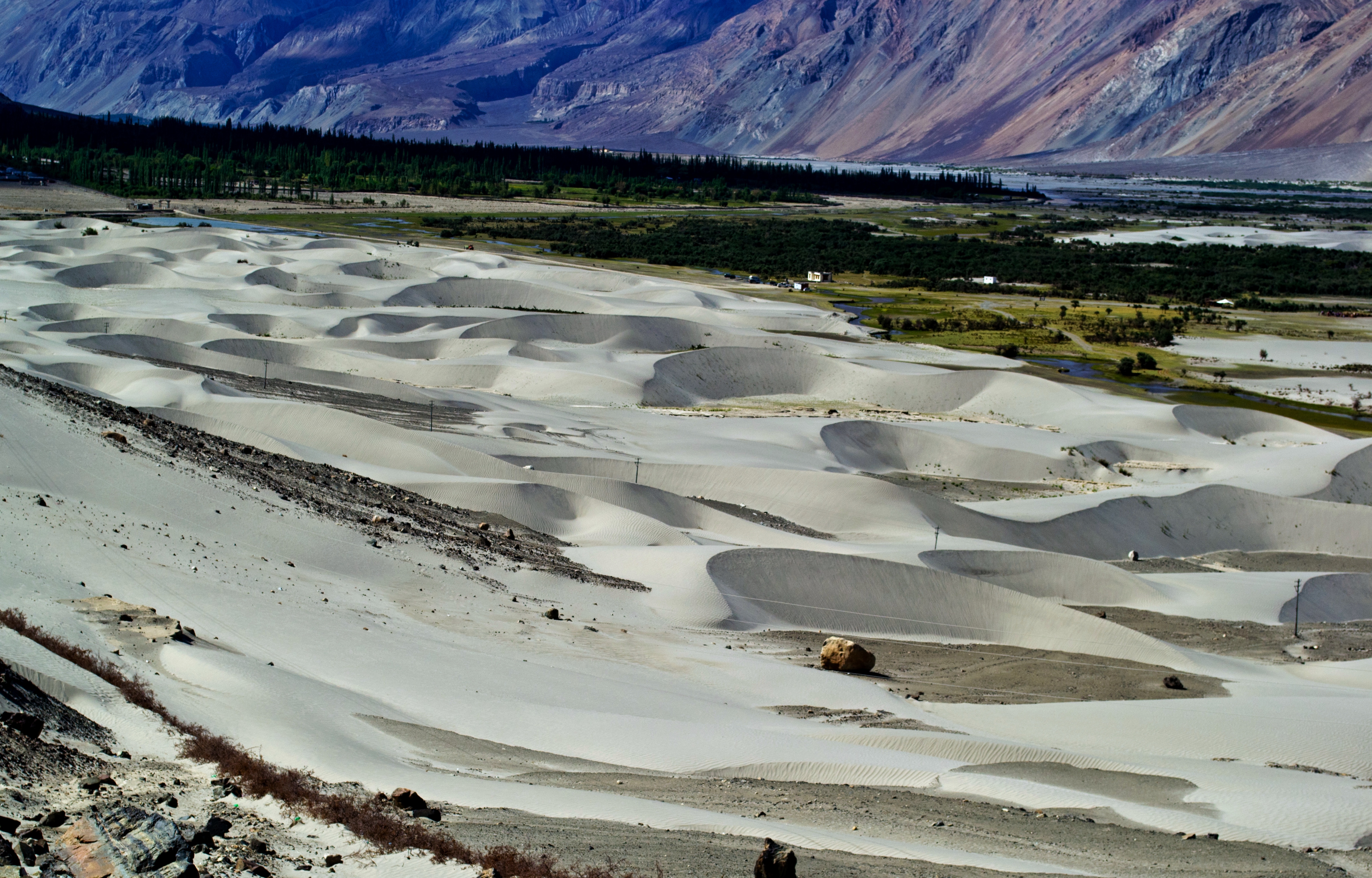 The Otherworldly Beauty of Nubra Valley