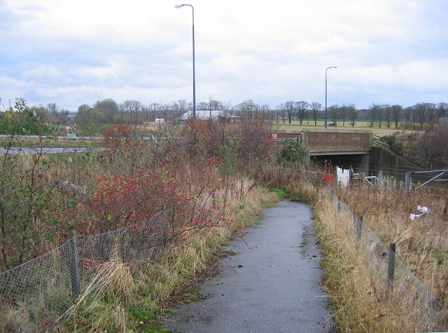 File:Old road alignment, Pinkerton. - geograph.org.uk - 85005.jpg