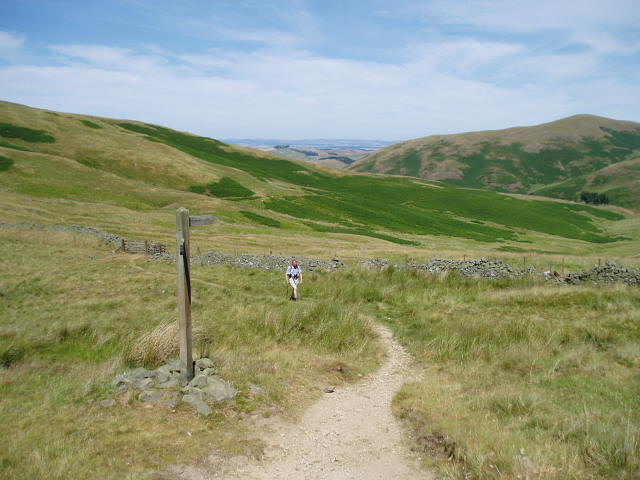 File:Pennine Way - geograph.org.uk - 203283.jpg