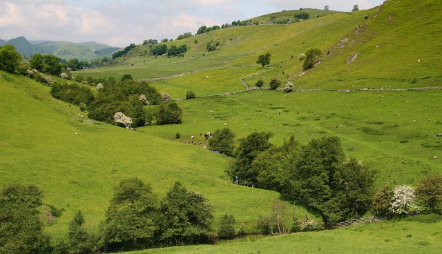 File:Pilsbury to Crowdecote via Pilsbury Castle Hills (10 of 14) - geograph.org.uk - 1714193.jpg