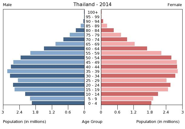 File:Population pyramid of Thailand 2014.png