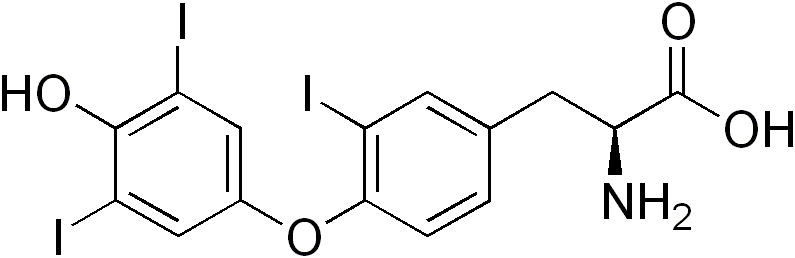 File:Reverse triiodothyronine.png