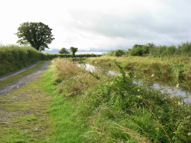 File:Royal Canal at Ballynabarny, Co. Meath - geograph.org.uk - 1429166.jpg